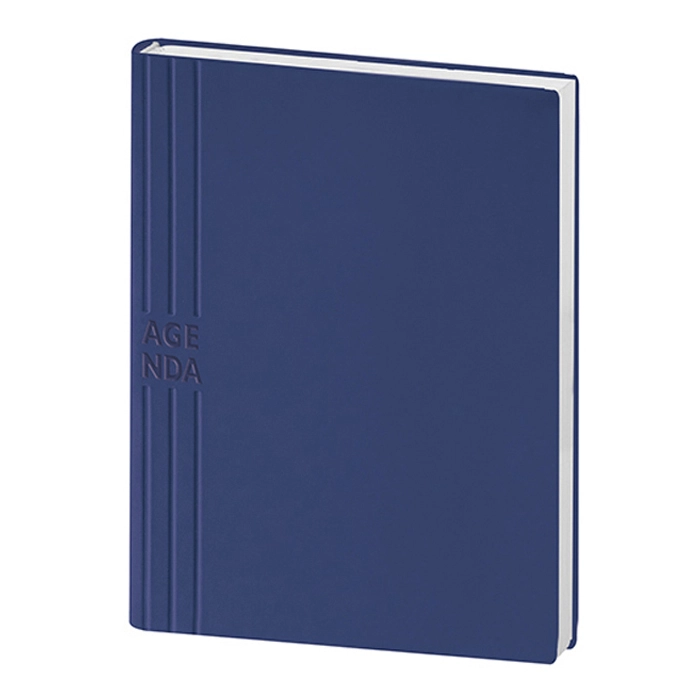 Immagine AGENDA GIORNALIERA IN TAM