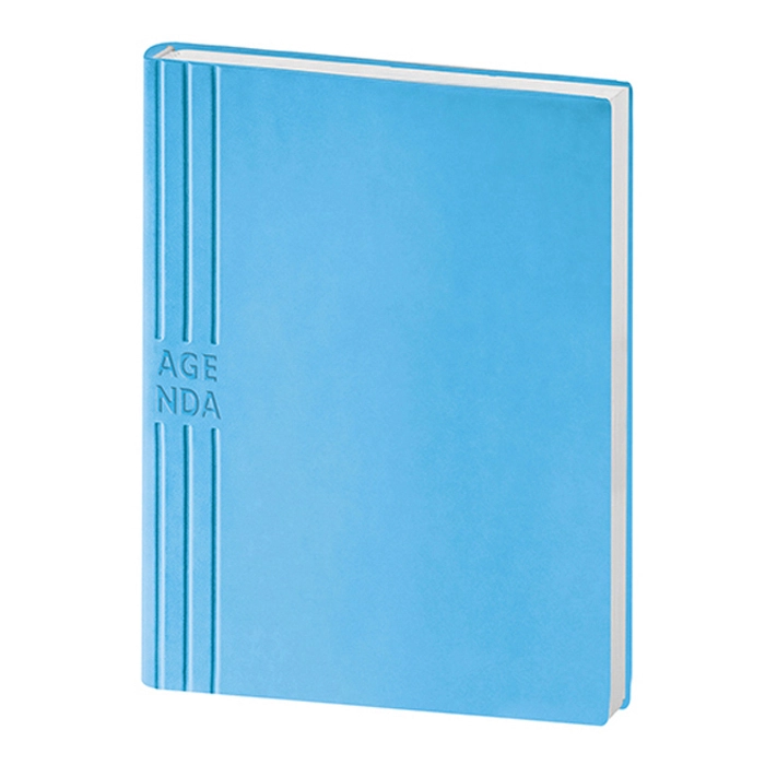 Immagine AGENDA GIORNALIERA IN TAM