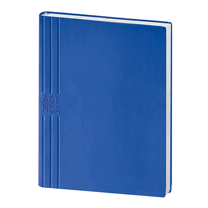 Immagine AGENDA GIORNALIERA IN TAM