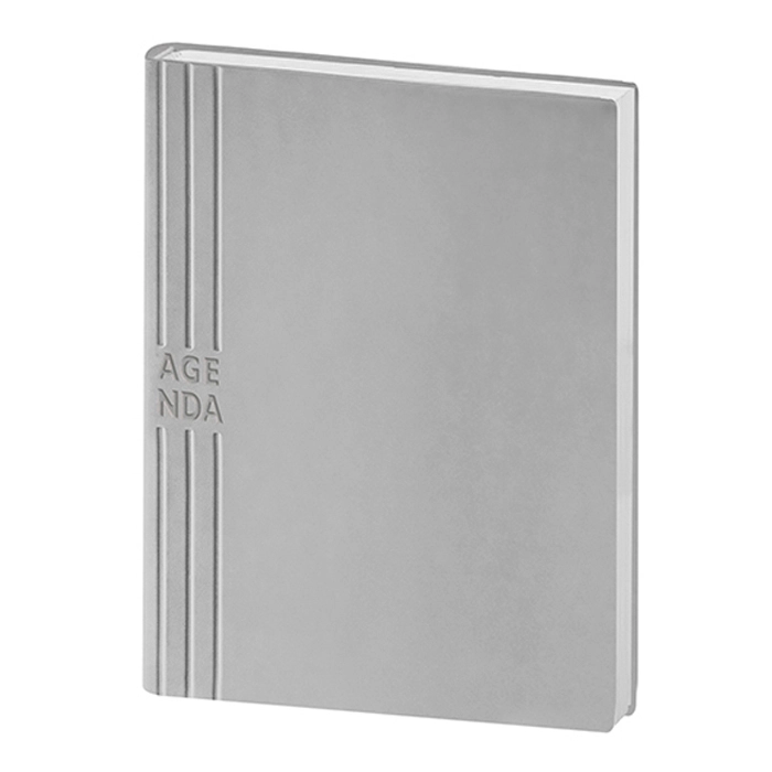 Immagine AGENDA GIORNALIERA IN TAM