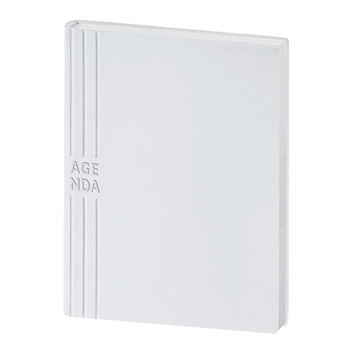 Immagine AGENDA GIORNALIERA