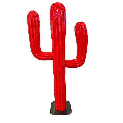 Immagine A137 Cactus-Oggetto Decorativo