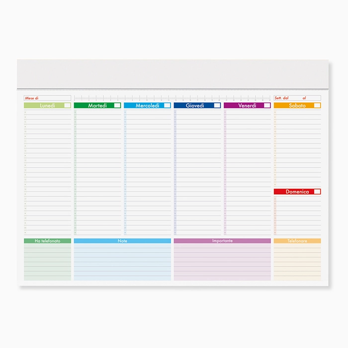Immagine PLANNING MULTICOLOR