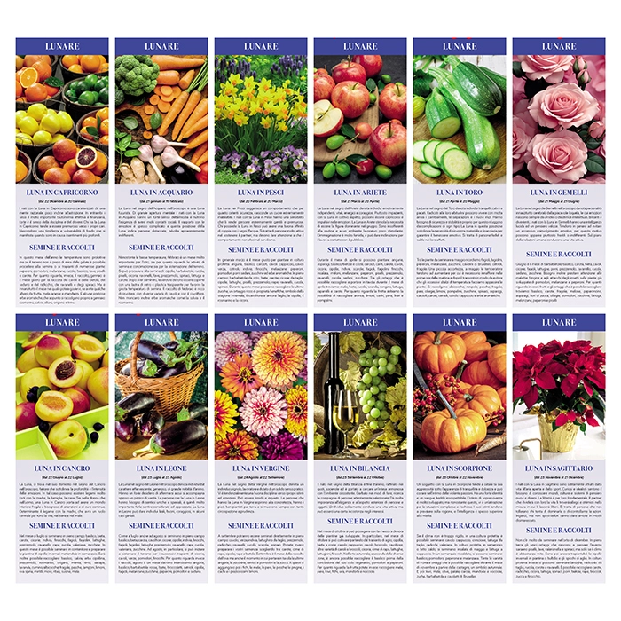 Immagine ORTO E GIARDINO