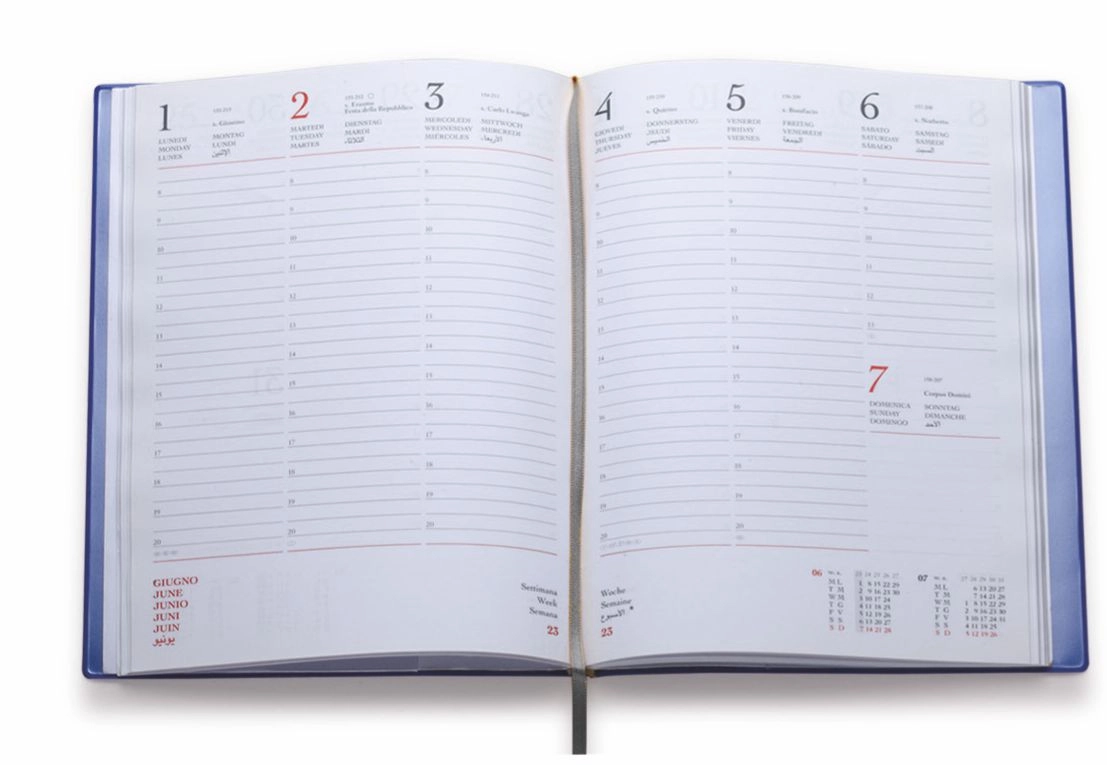 Immagine 0331 - AGENDA SETTIMANALE TAM CM 17X24