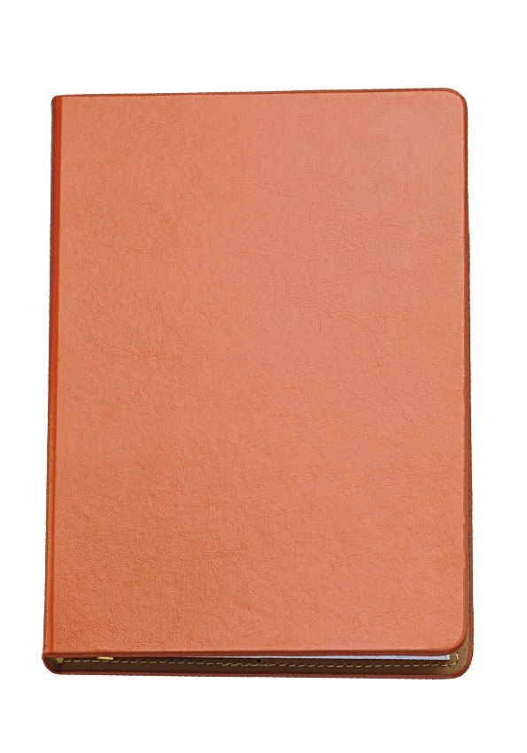 Immagine 0327 AGENDA GIORNALIERA 15X21 