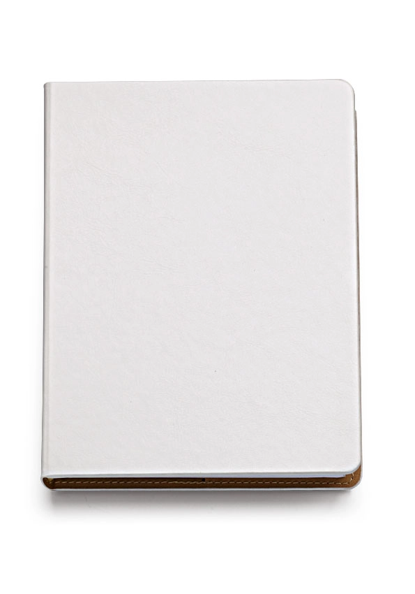 Immagine 0327 AGENDA GIORNALIERA 15X21 