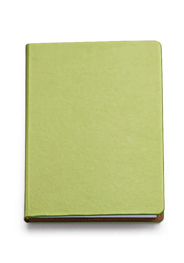 Immagine 0327 AGENDA GIORNALIERA 15X21 
