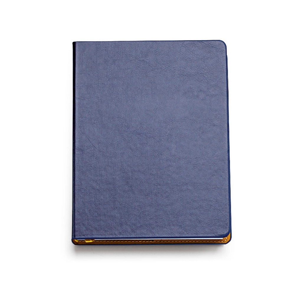 Immagine 0327 AGENDA GIORNALIERA 15X21 