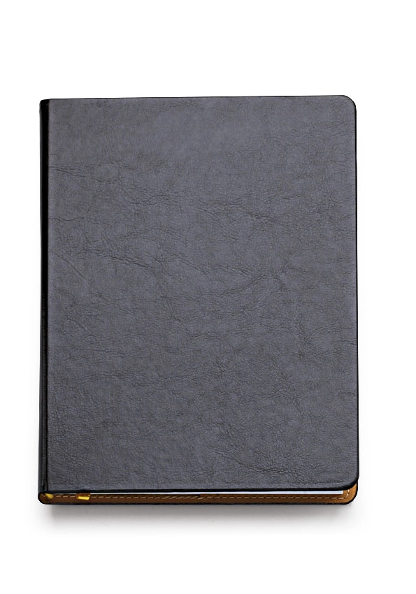 Immagine 0327 AGENDA GIORNALIERA 15X21 