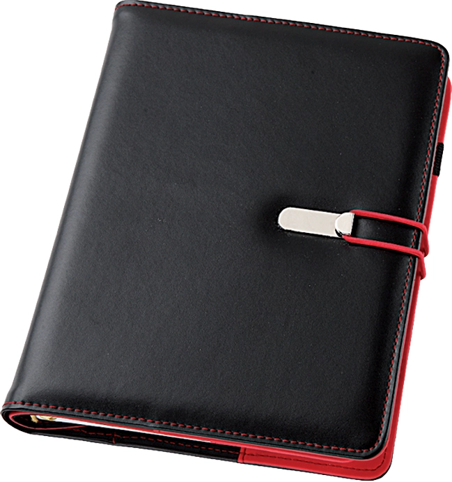 Immagine 0304 - AGENDA GIORNALIERA PU