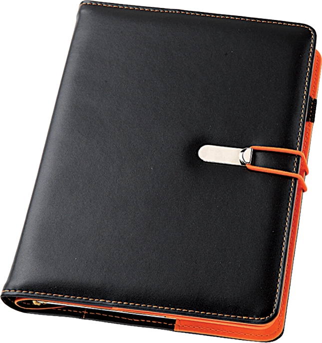 Immagine 0304 - AGENDA GIORNALIERA PU