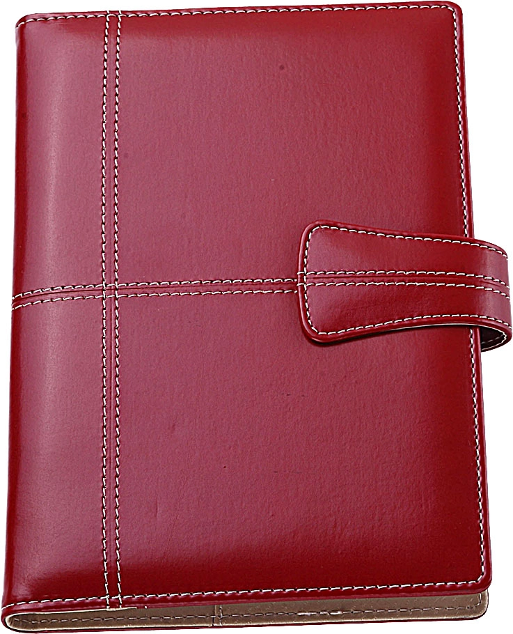 Immagine 0217 - AGENDA GIORNALIERA 