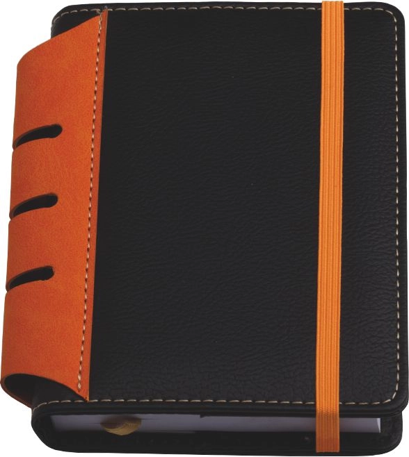 Immagine 0216 AGENDA POCKET GIORNALIERA 