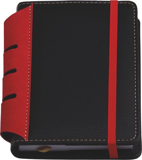 Immagine 0216 AGENDA POCKET GIORNALIERA 