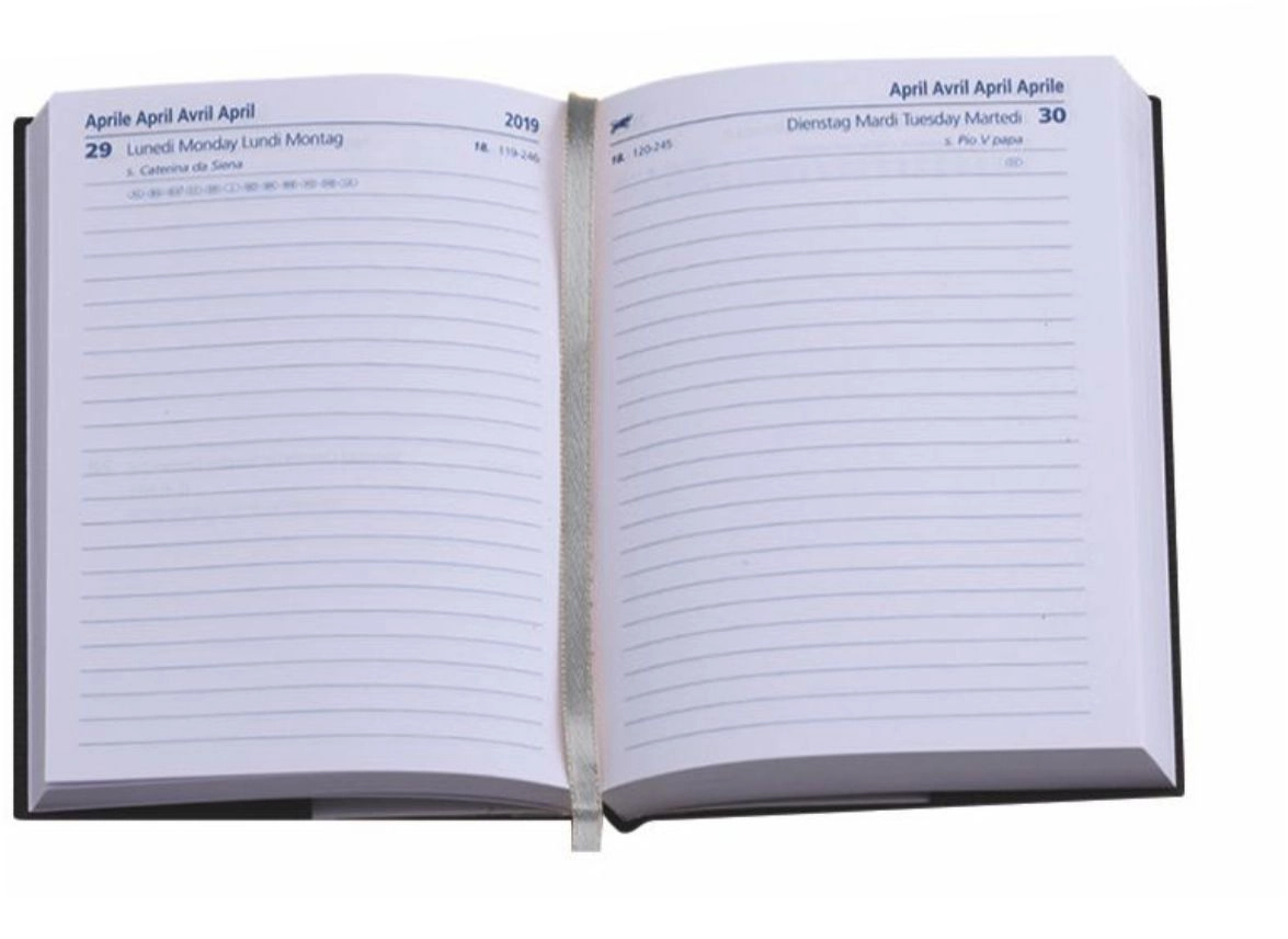Immagine 0216 AGENDA POCKET GIORNALIERA 