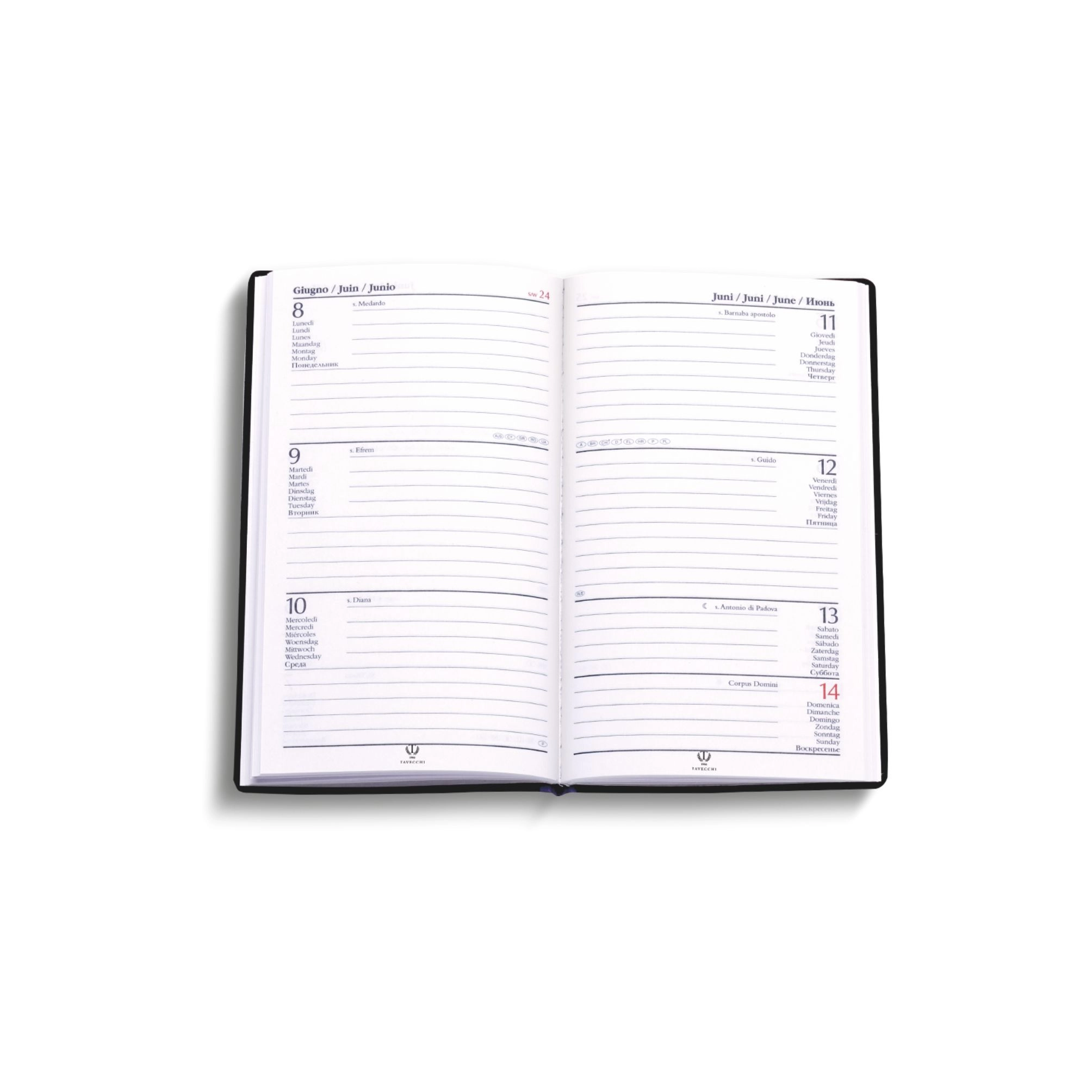 Immagine 0165 Agenda settimanale 8x14 Tavecchi