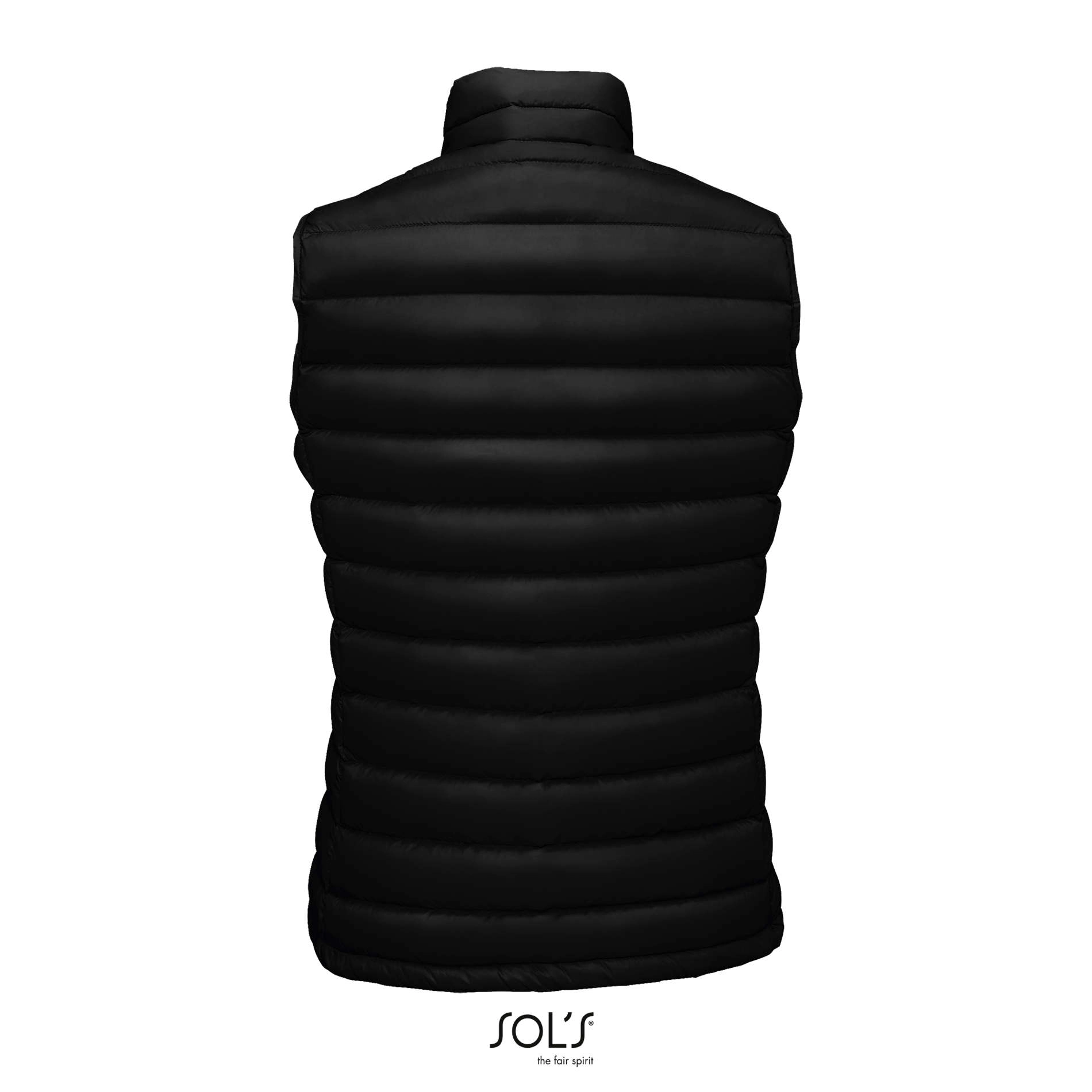 Immagine WILSON BW WOMEN