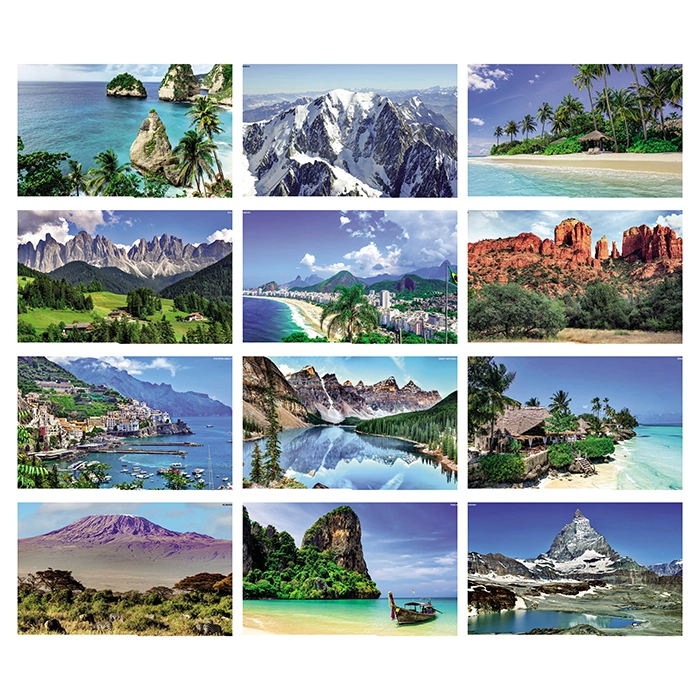 Immagine METE DA SOGNO