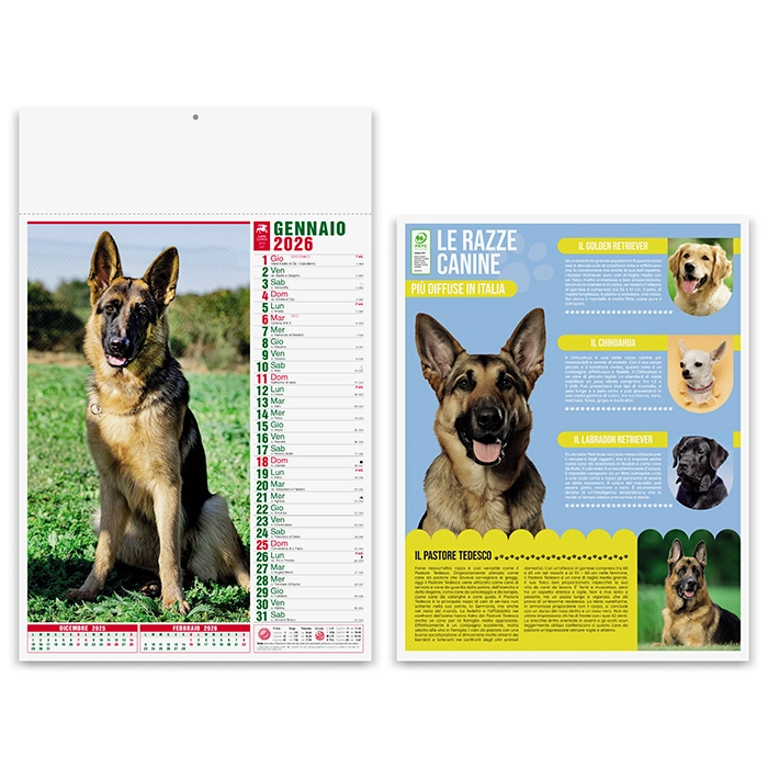 Immagine CANI E GATTI