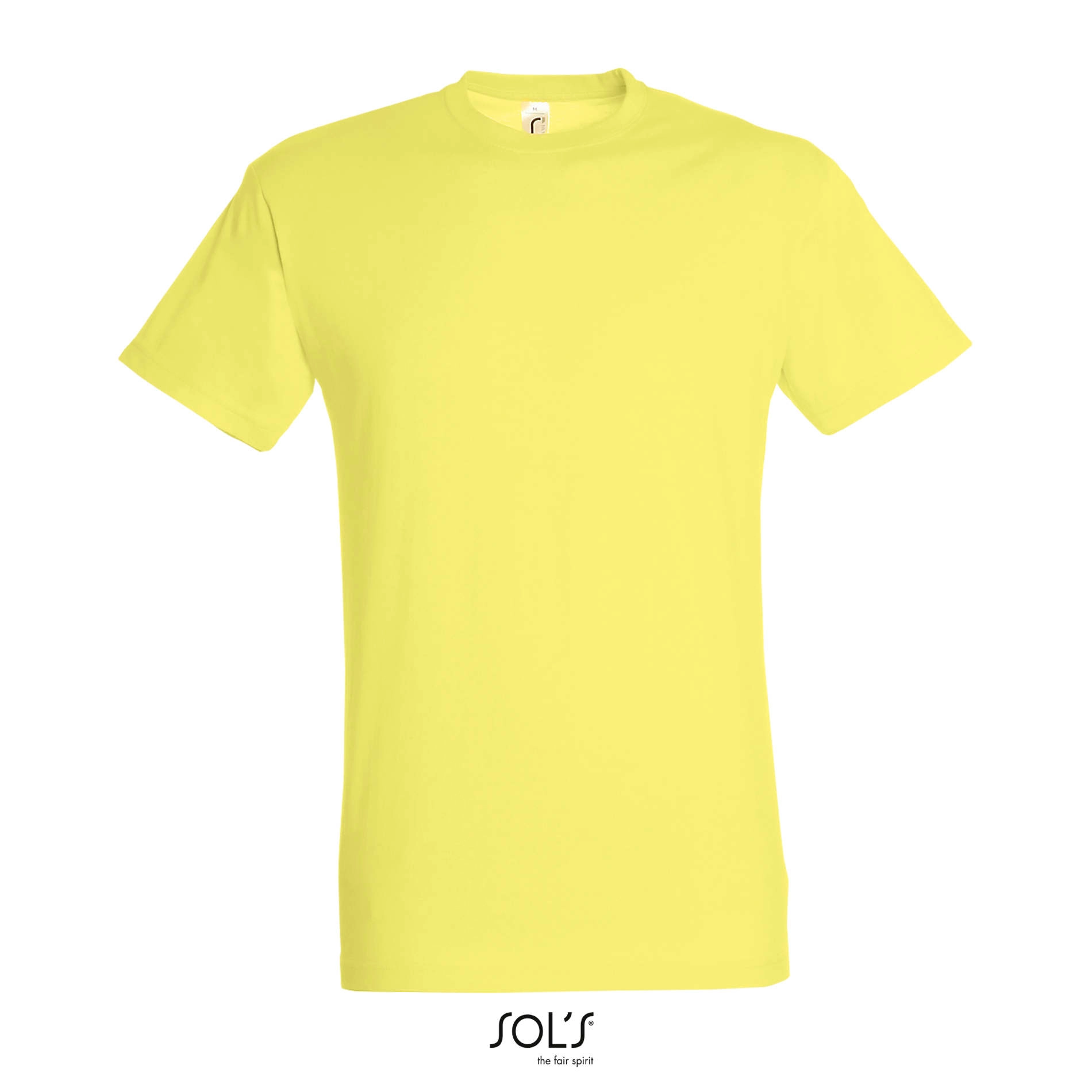 Immagine T-shirt Uomo Regent SOL'S | 100% Cotone | 150gr personalizzata con stampa o ricamo