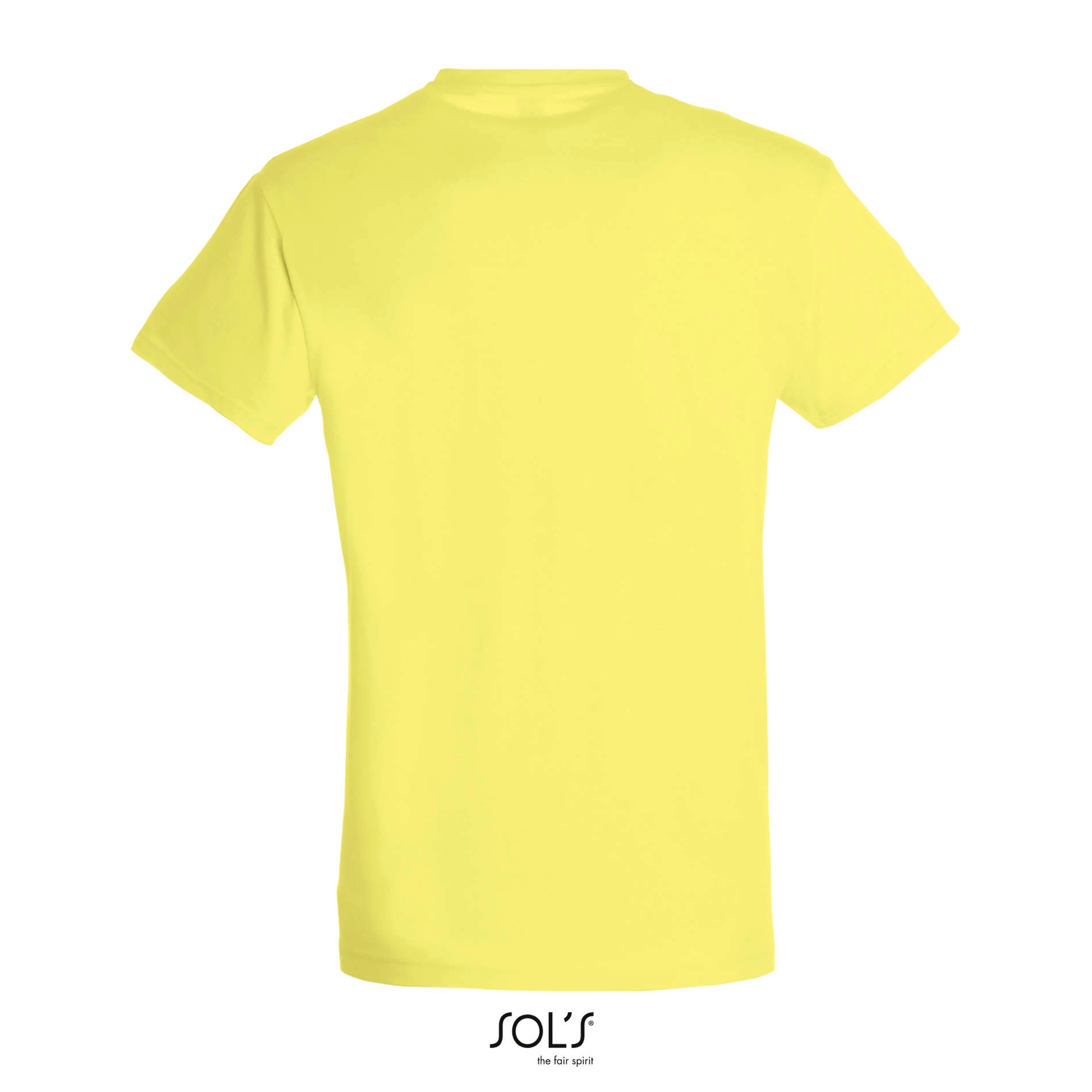 Immagine T-shirt Uomo Regent SOL'S | 100% Cotone | 150gr personalizzata con stampa o ricamo