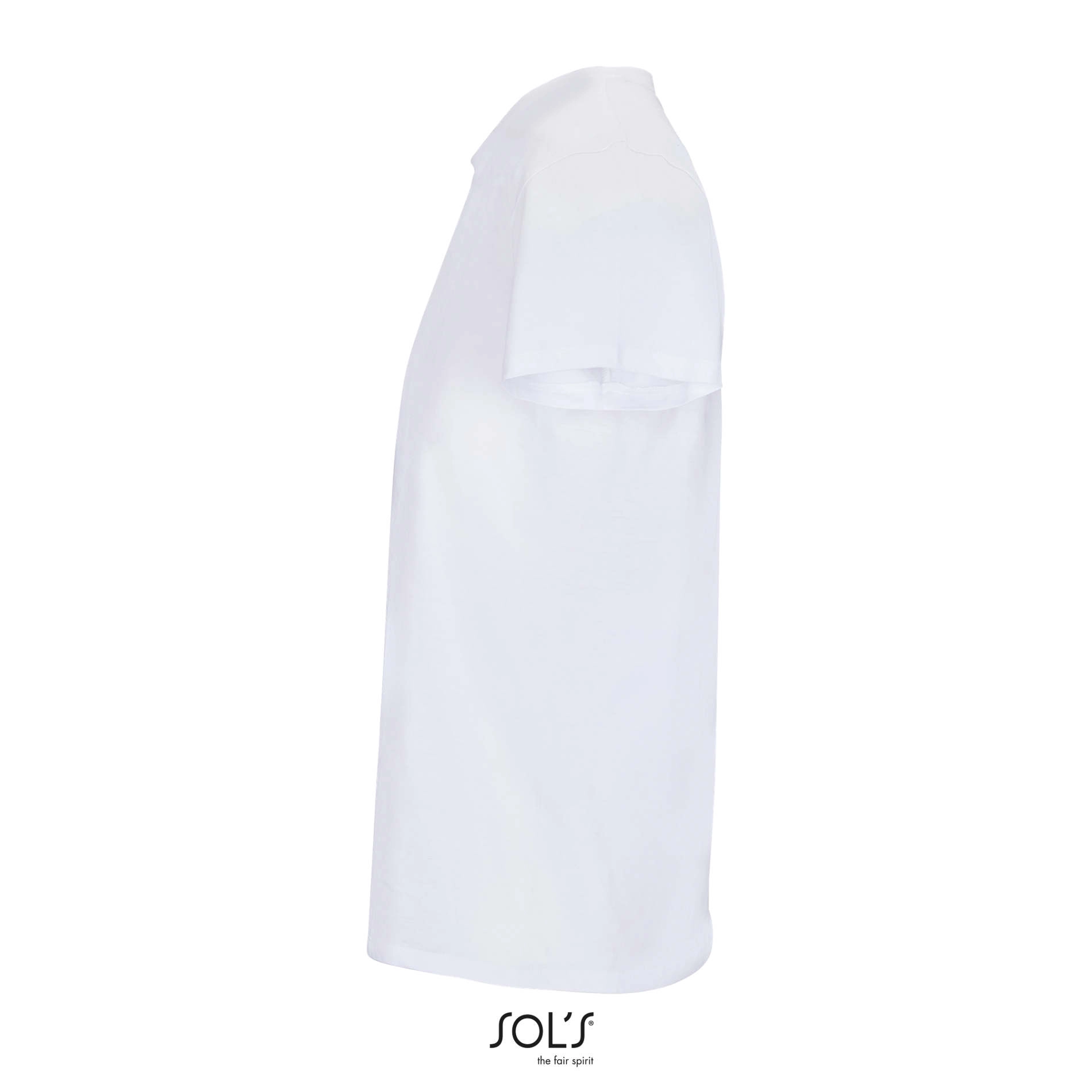 Immagine RE CRUSADER