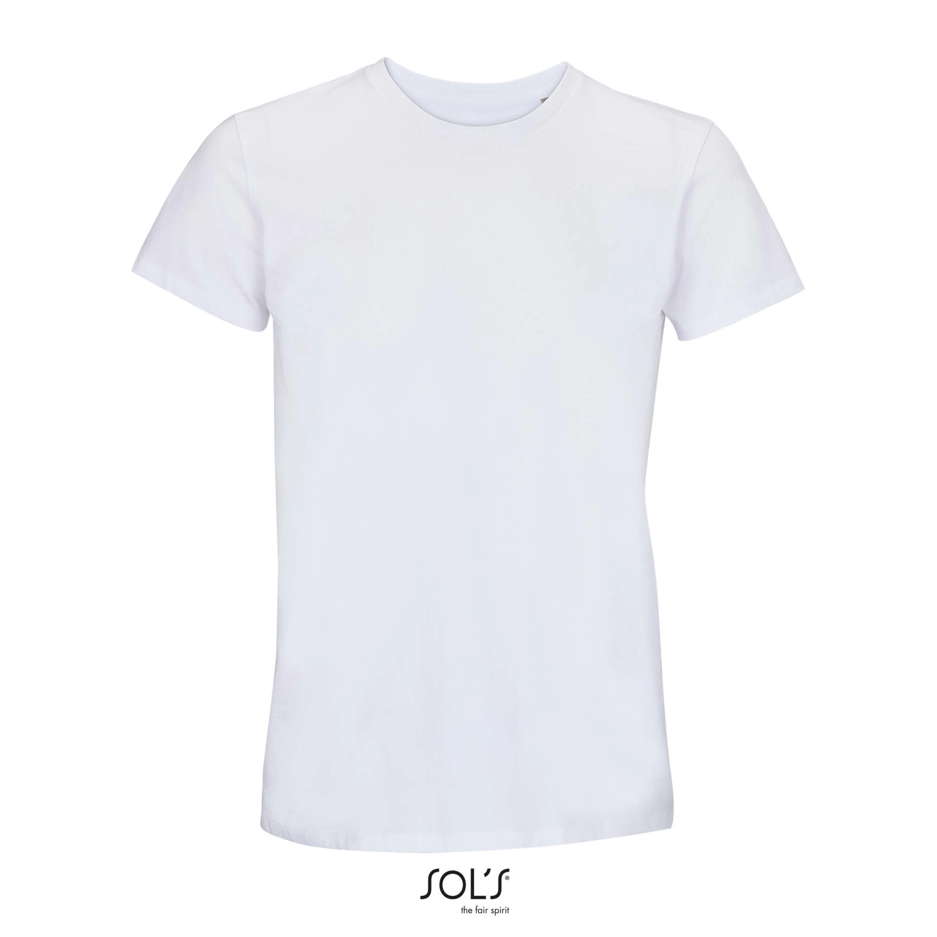 Immagine RE CRUSADER