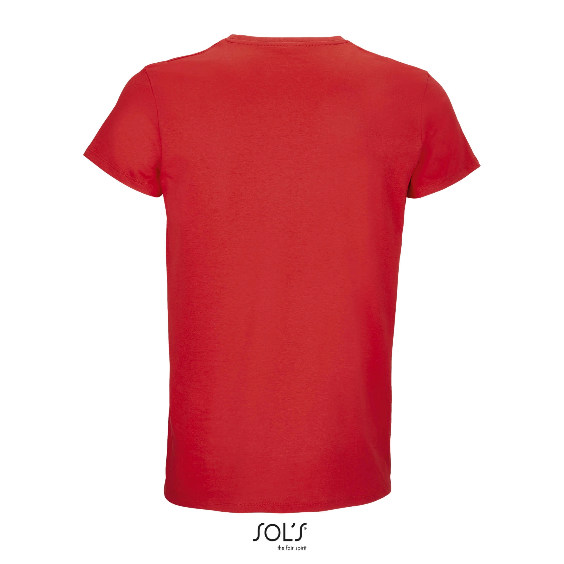 Immagine RE CRUSADER