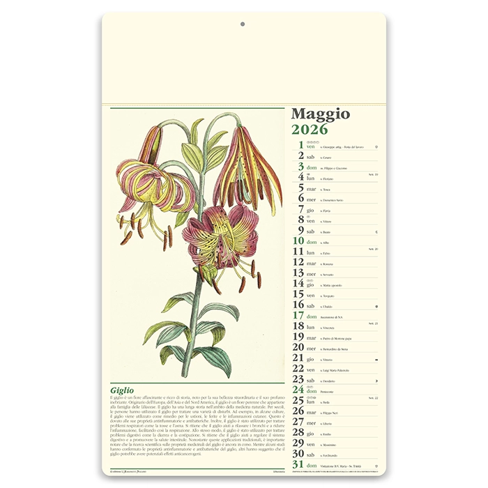Immagine Calendario erboristeria 31 x 52,5 cm formato olandese personalizzato