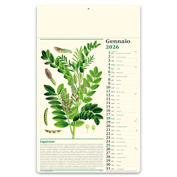 Immagine Calendario erboristeria 31 x 52,5 cm formato olandese personalizzato