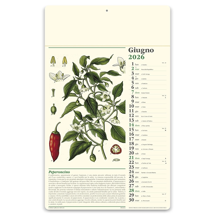 Immagine Calendario erboristeria 31 x 52,5 cm formato olandese personalizzato