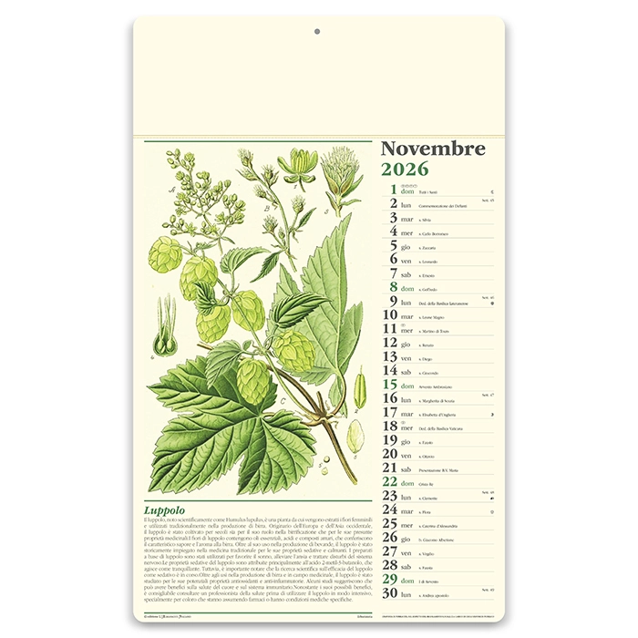 Immagine Calendario erboristeria 31 x 52,5 cm formato olandese personalizzato