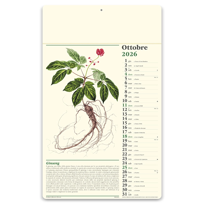 Immagine Calendario erboristeria 31 x 52,5 cm formato olandese personalizzato