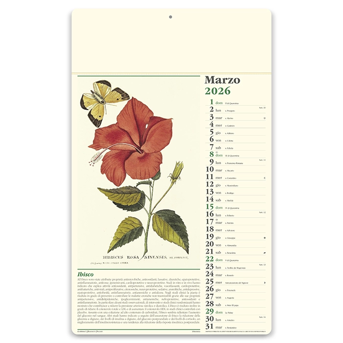 Immagine Calendario erboristeria 31 x 52,5 cm formato olandese personalizzato