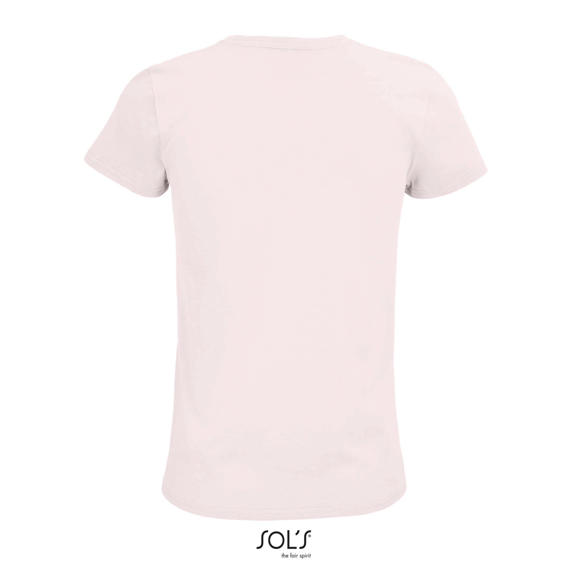 Immagine PIONEER WOMEN