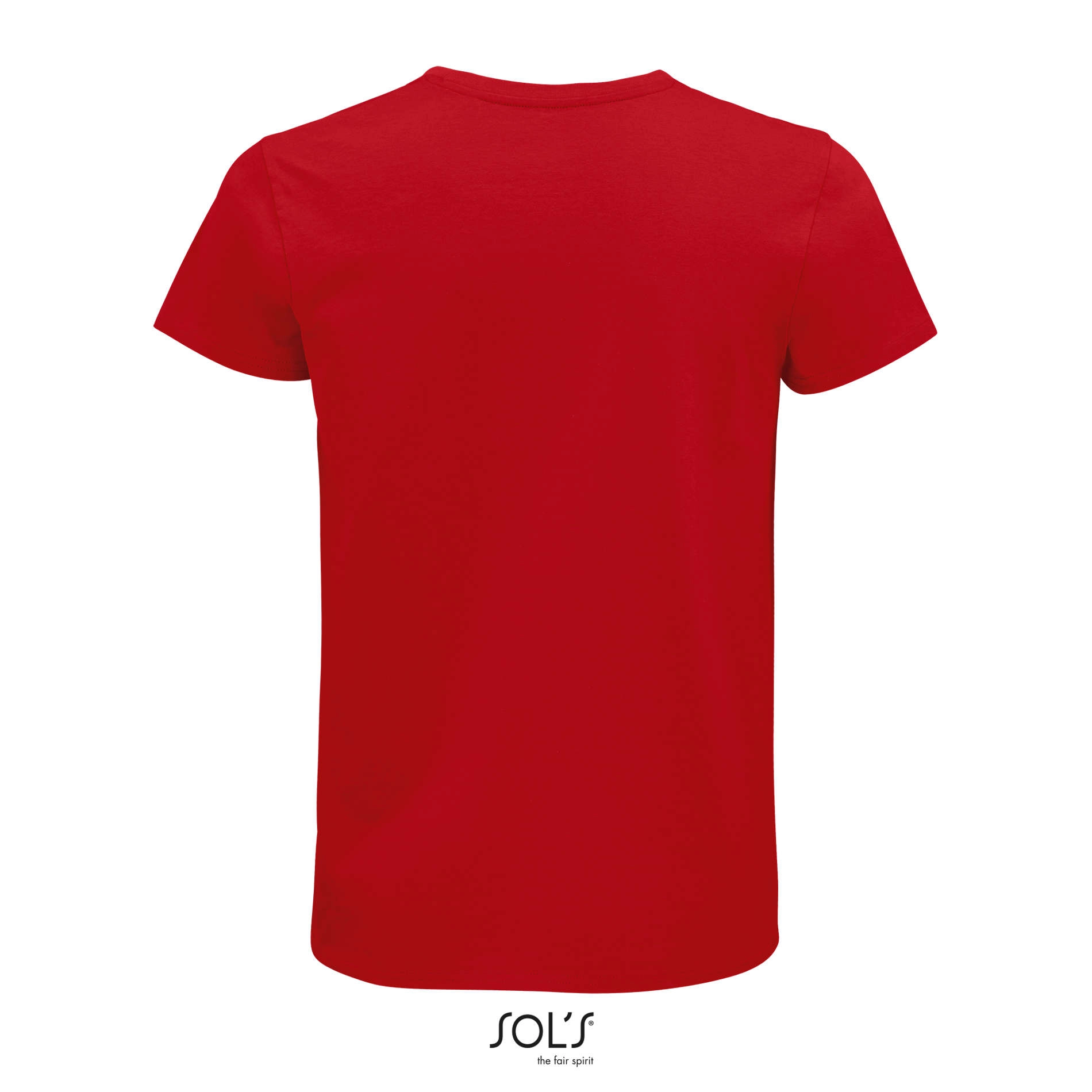 Immagine T-shirt organica uomo PIONEER