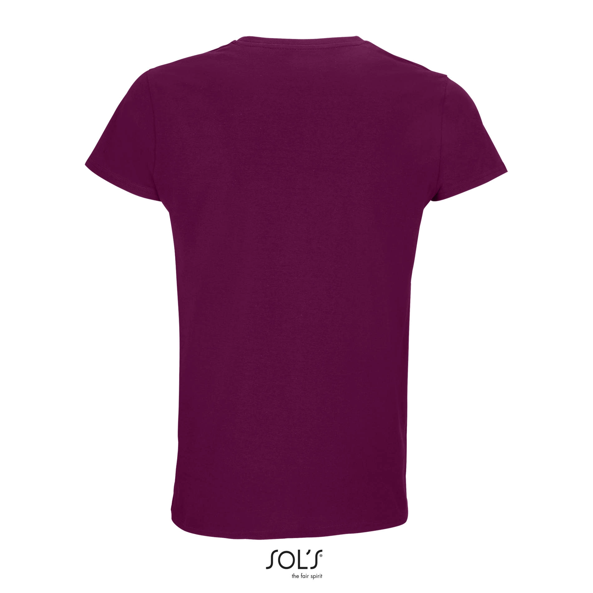 Immagine CRUSADER MEN