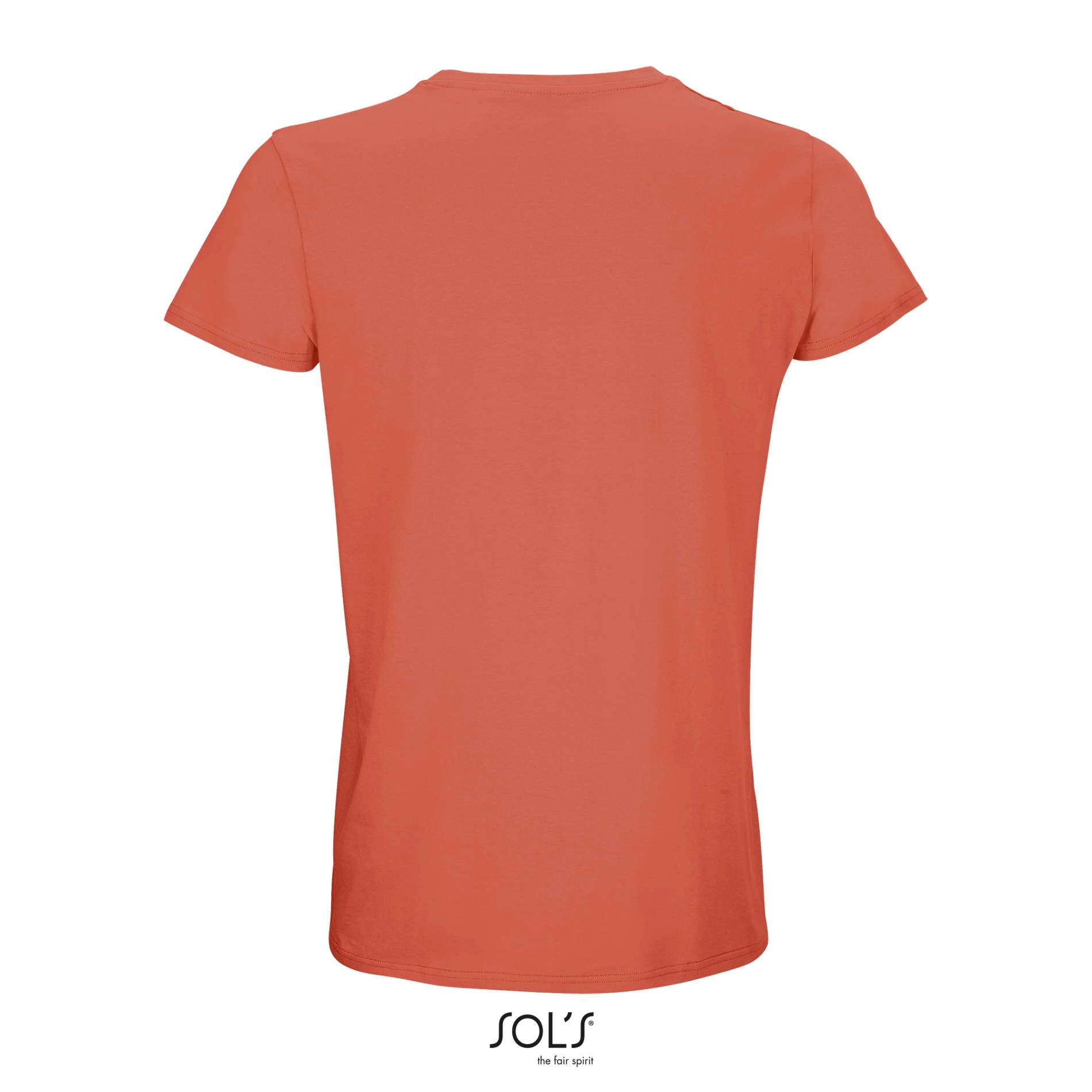 Immagine CRUSADER MEN