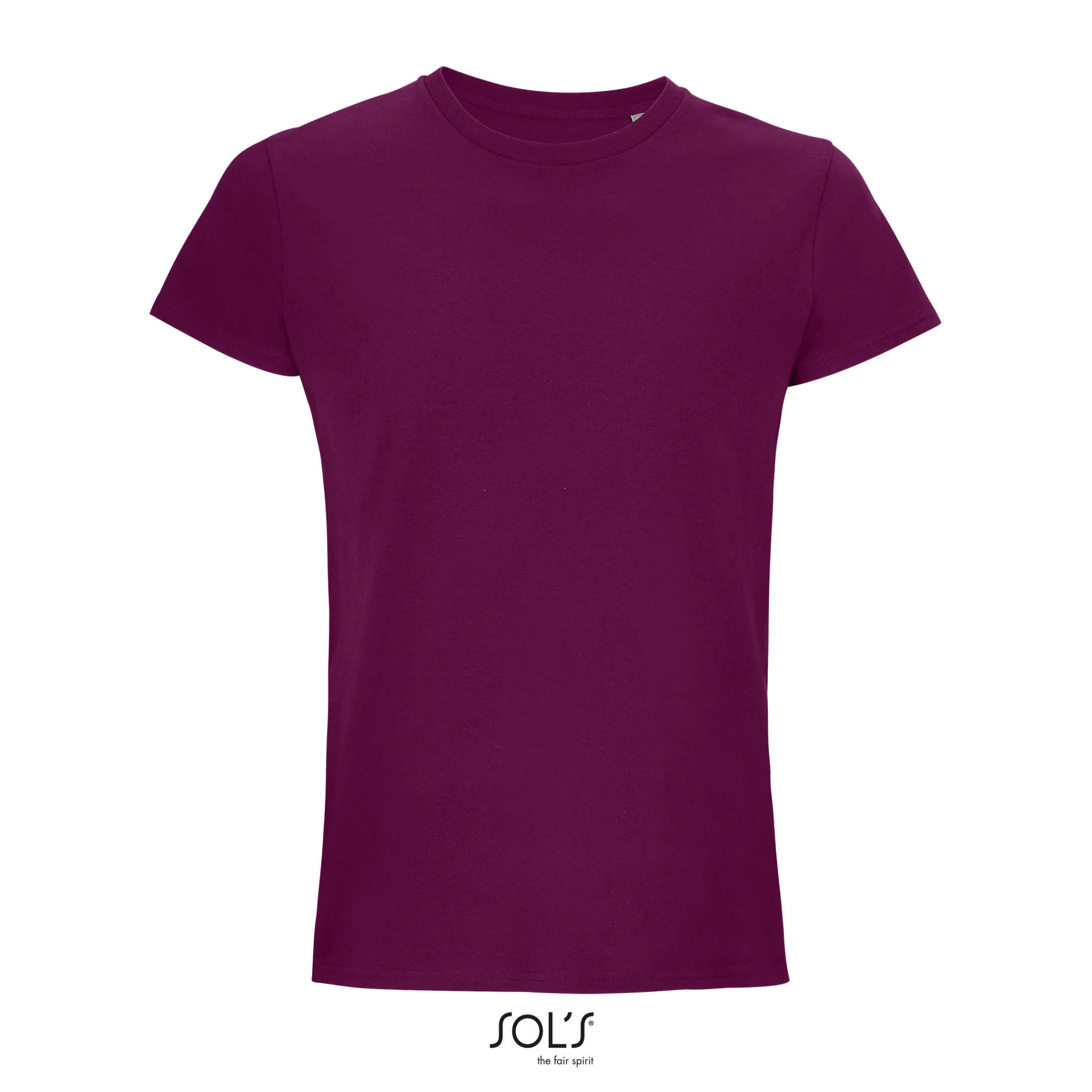 Immagine CRUSADER MEN