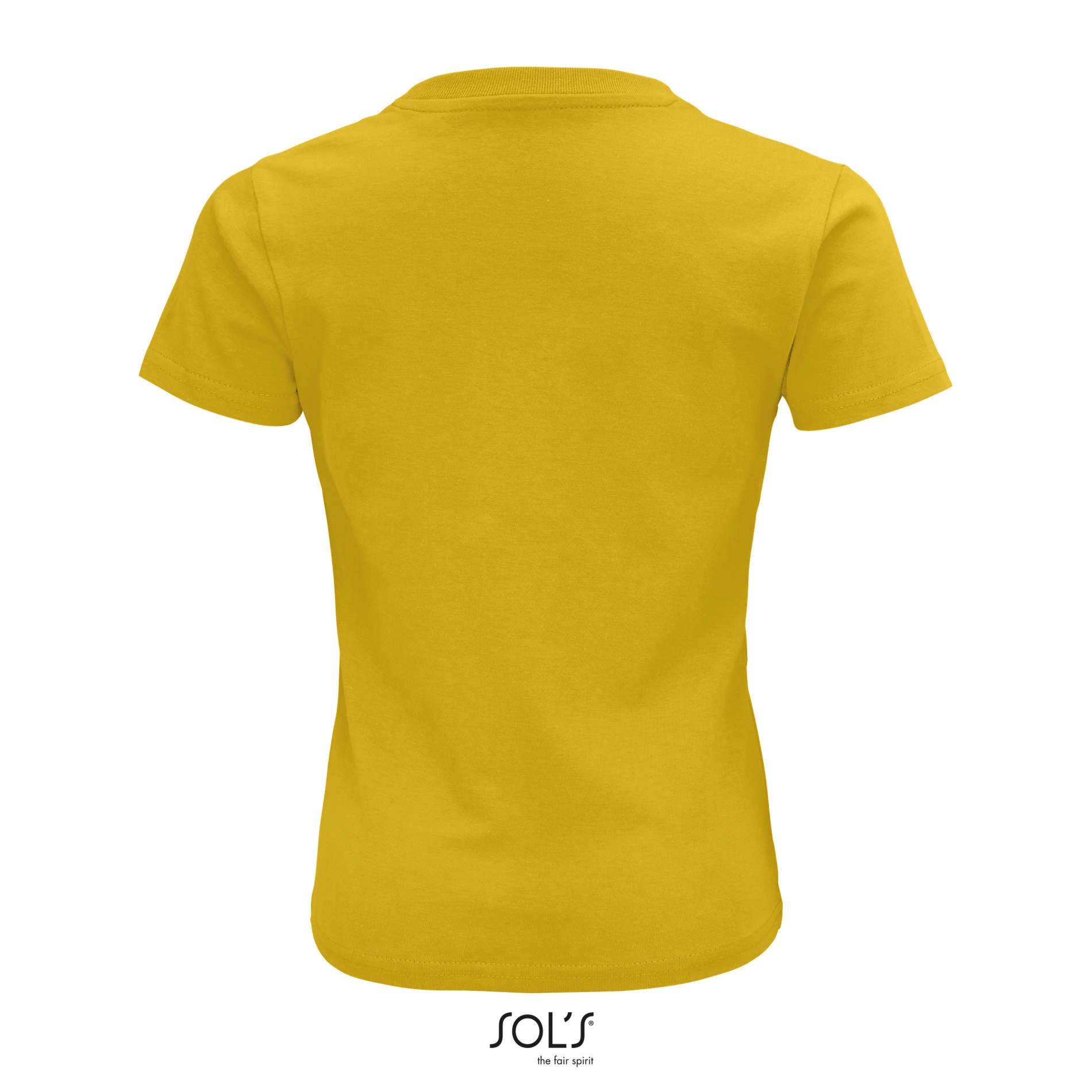 Immagine CRUSADER KIDS