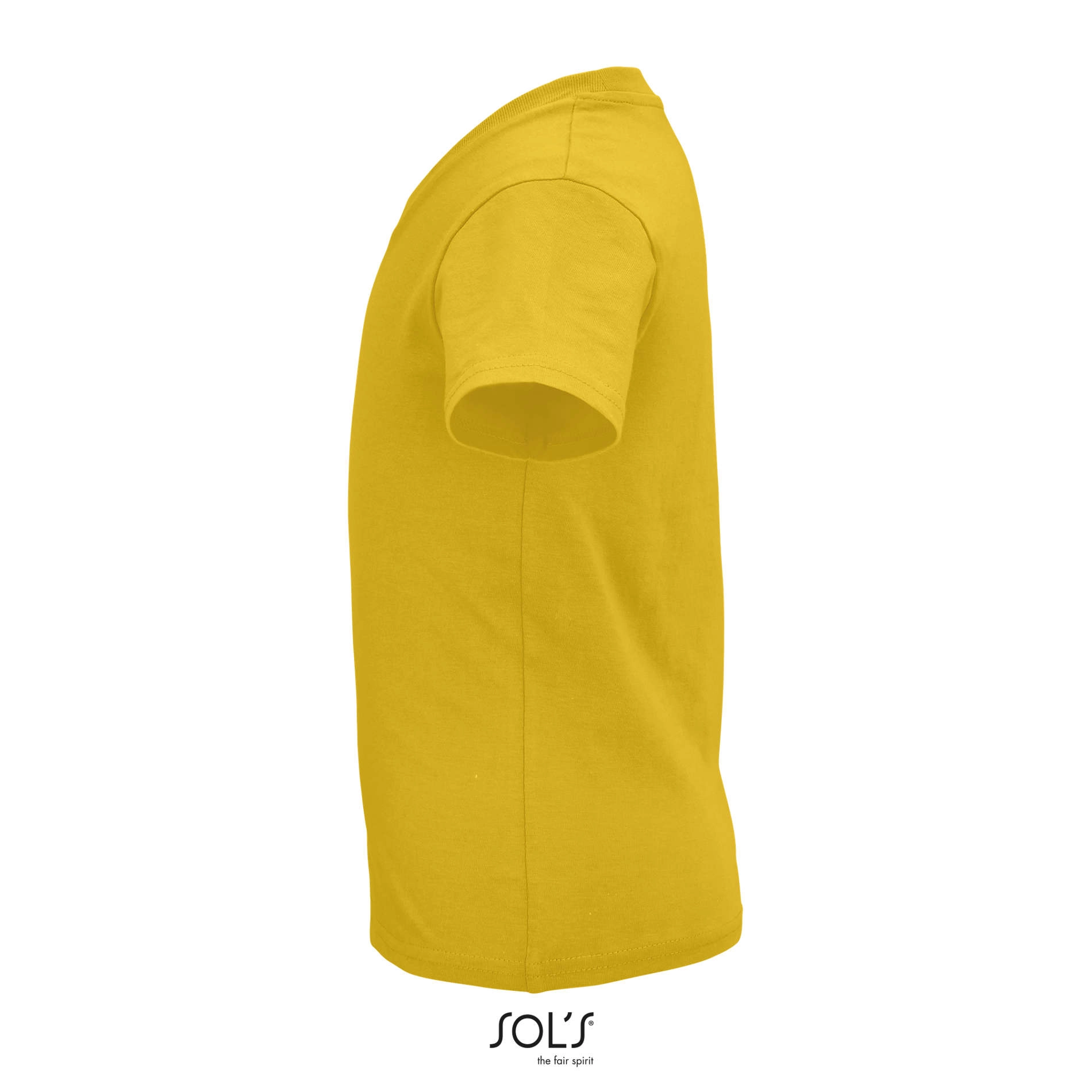 Immagine CRUSADER KIDS