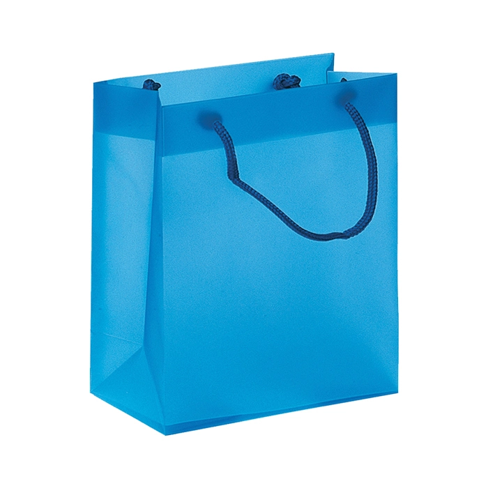 Immagine PP BAG EX CODICE T5109