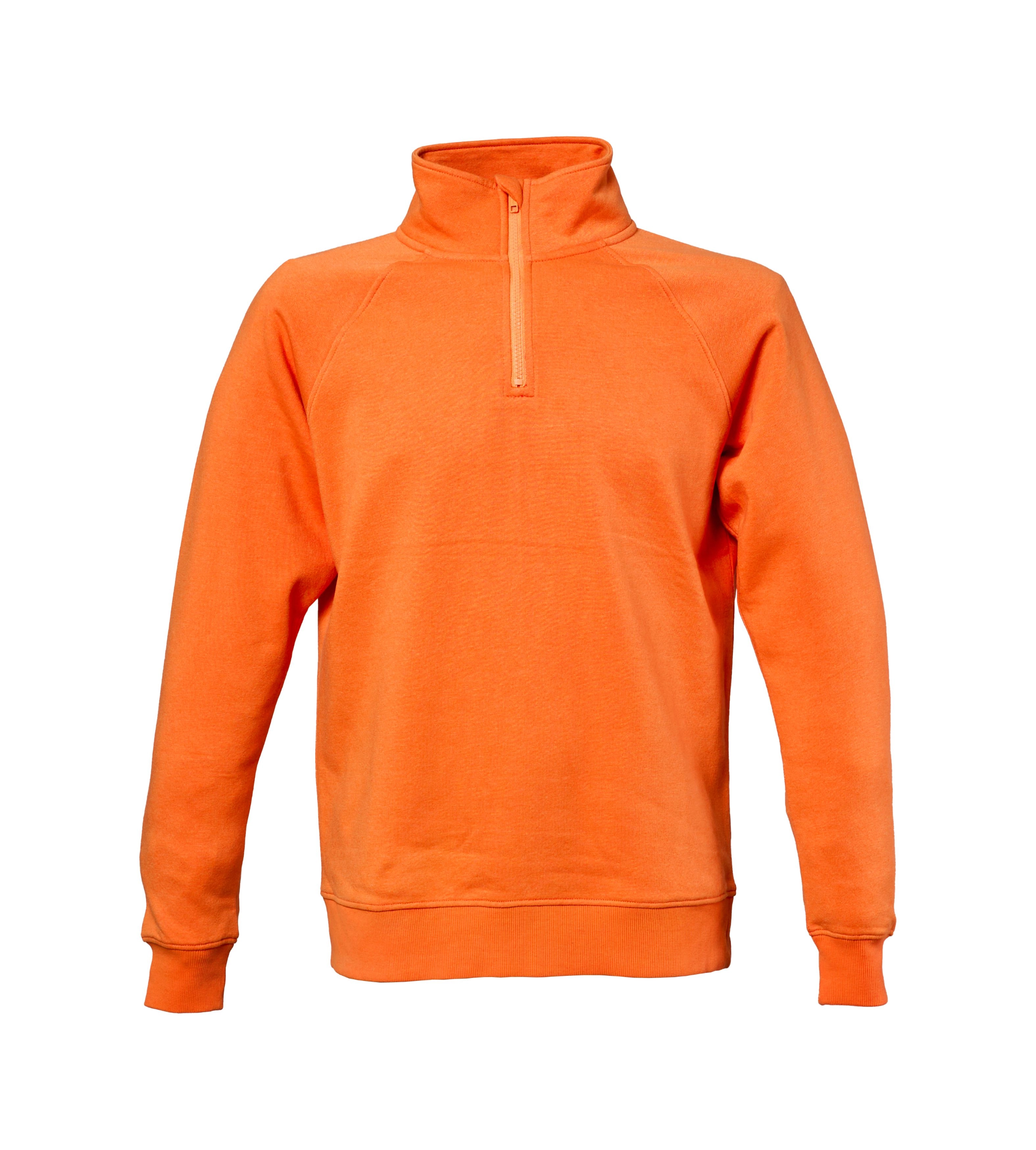 Immagine Felpa Davenport