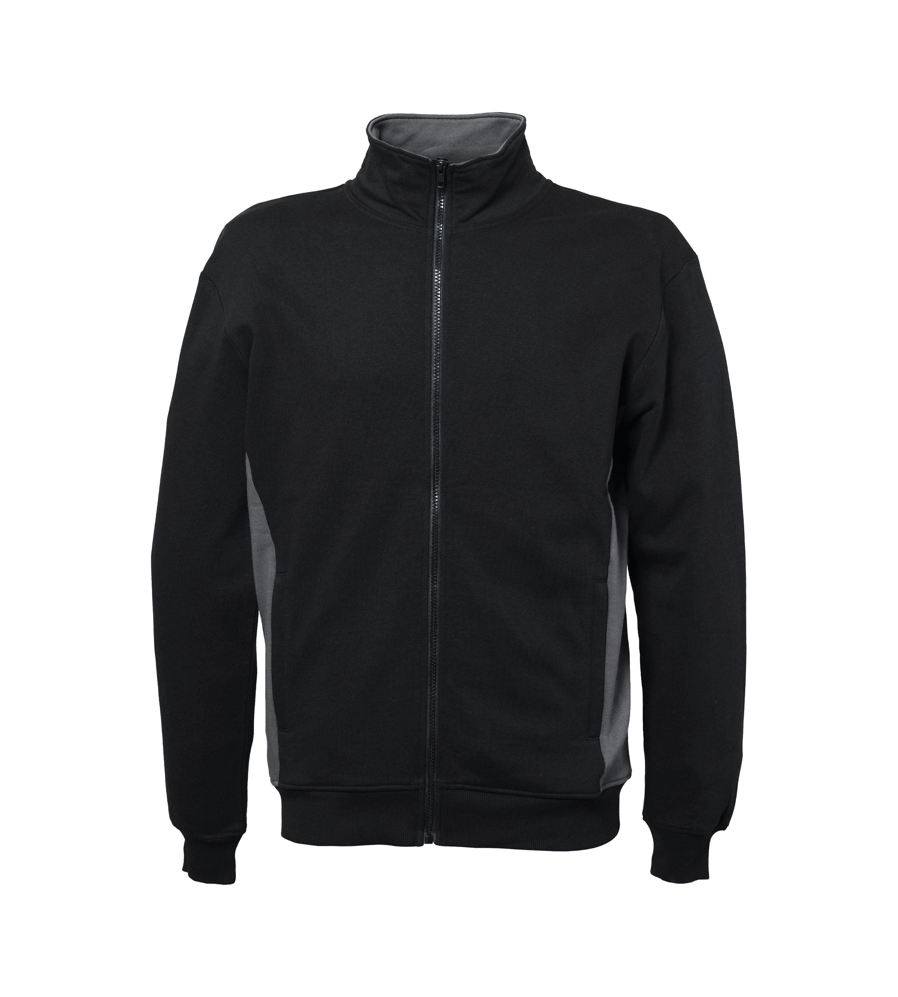 Immagine Felpa Minnesota