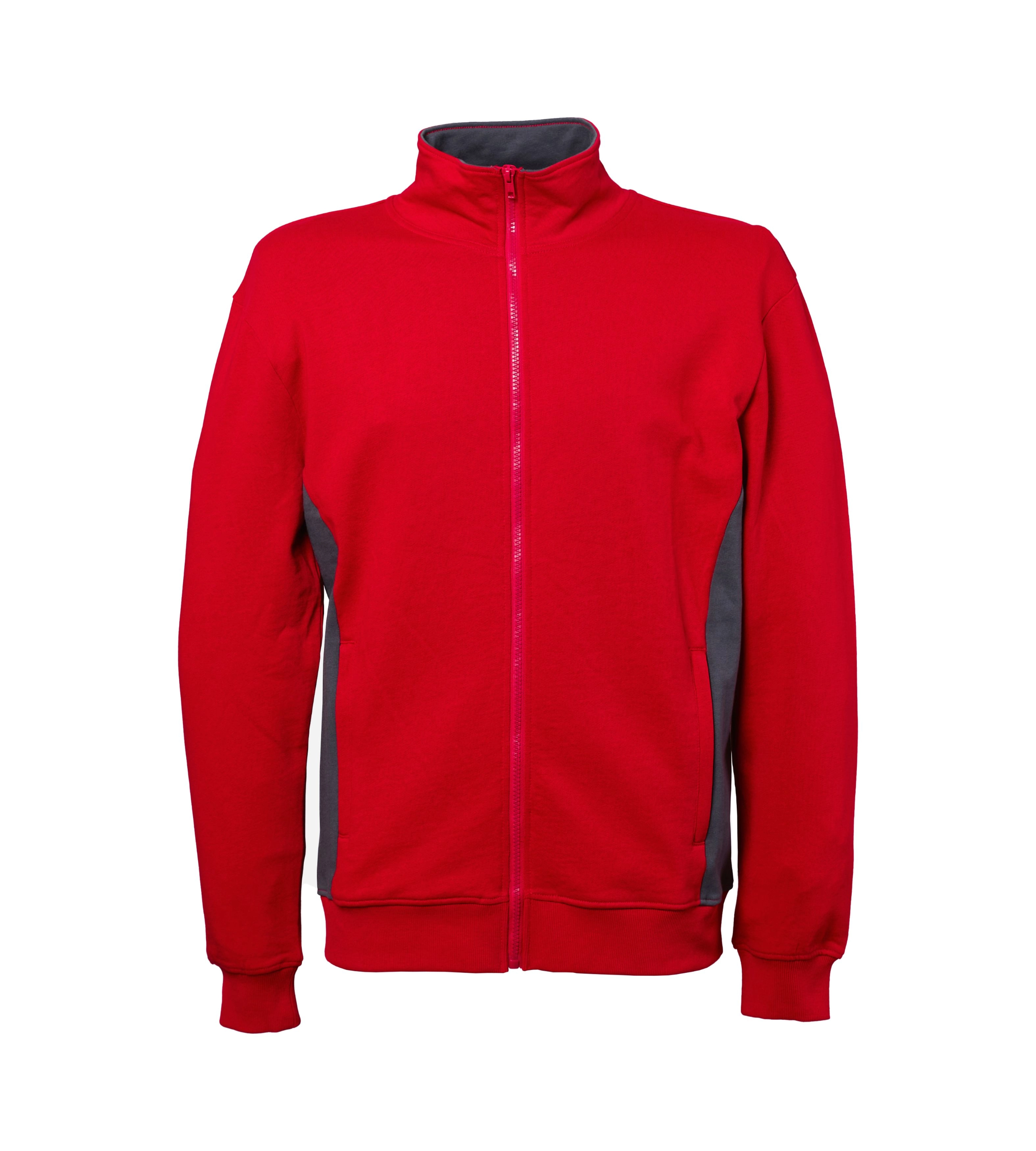 Immagine Felpa Minnesota