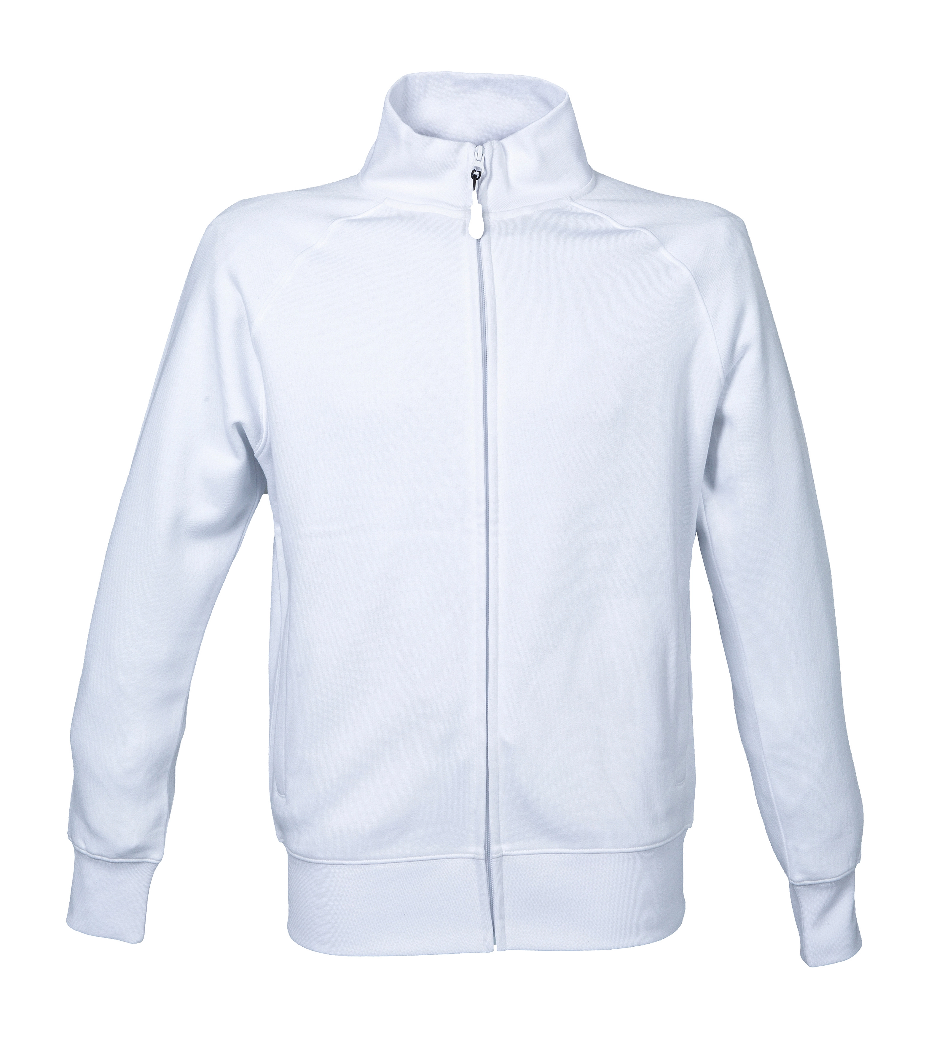 Immagine Felpa Malesia Man