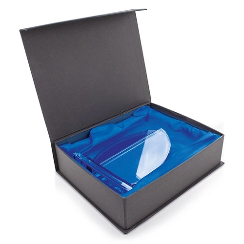 Immagine TROFEO VETRO 