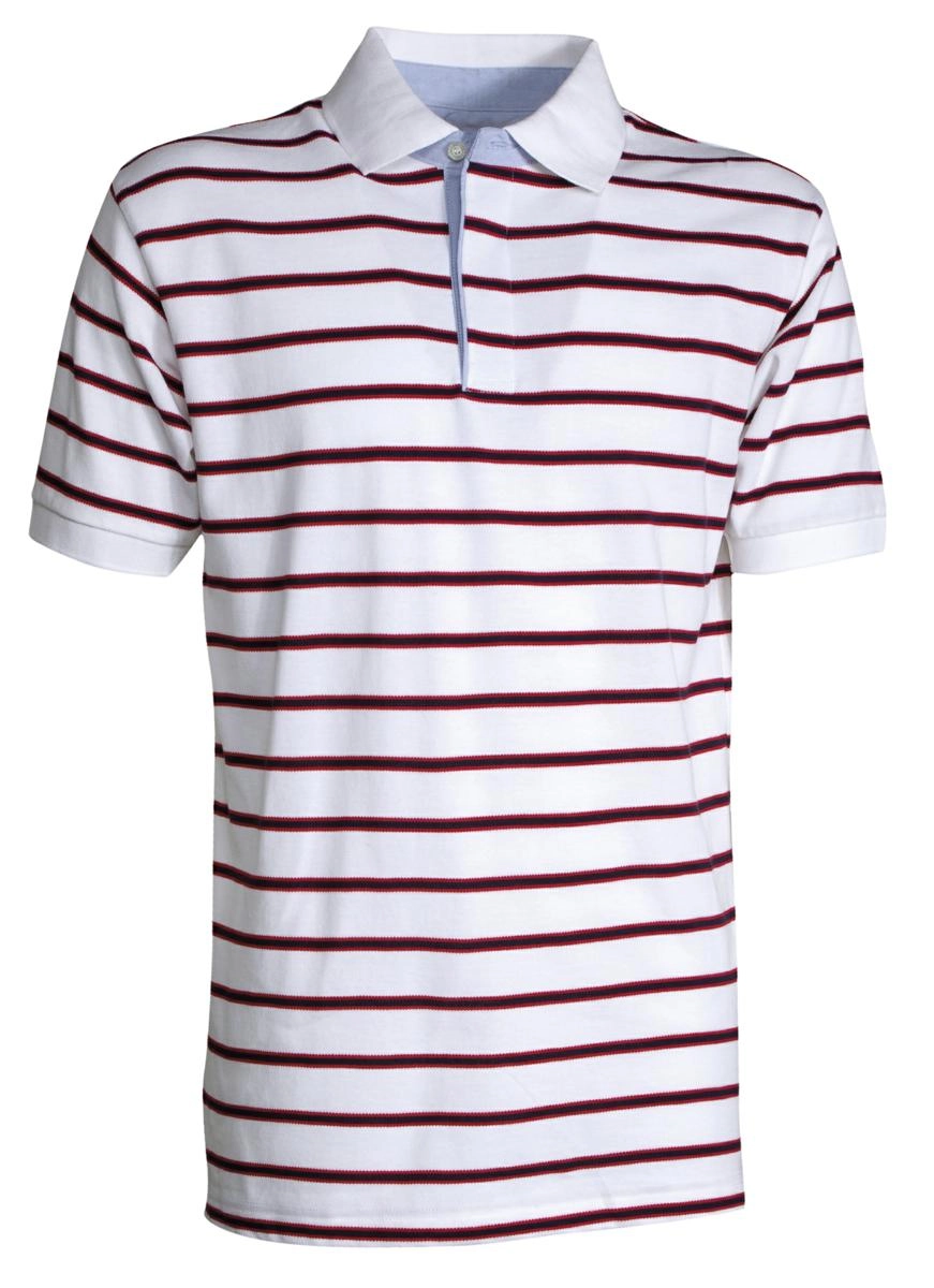 Immagine Polo SHEFFIELD PAYPER