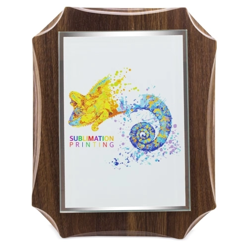 Immagine TROFEO MODERNO PER SUBLIMAZIONE 